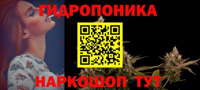 шишки Канаш